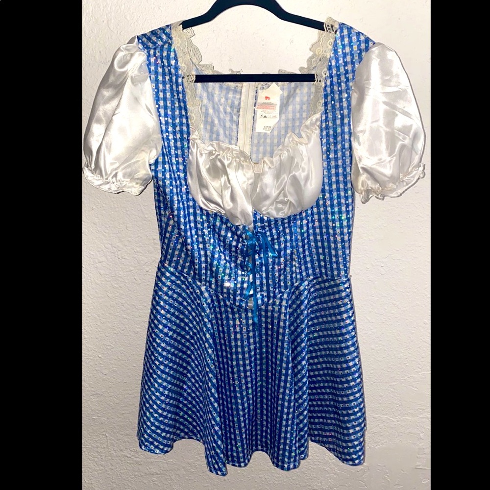 Dorothy Costume